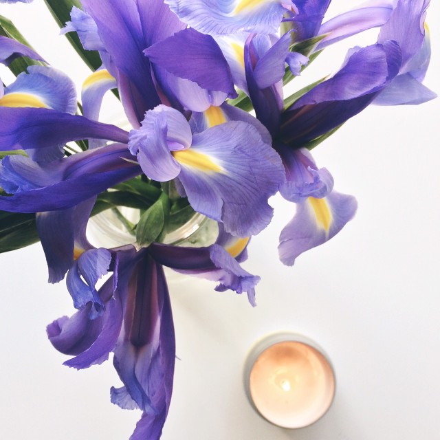 Irises_Candle